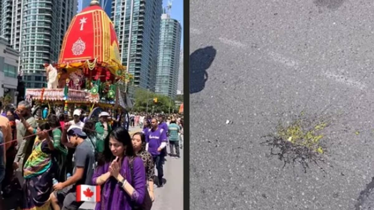 Eggs hurled at devotees during Rath Yatra in Toronto, Odisha Ex-CM Naveen Patnaik demands MEA intervention