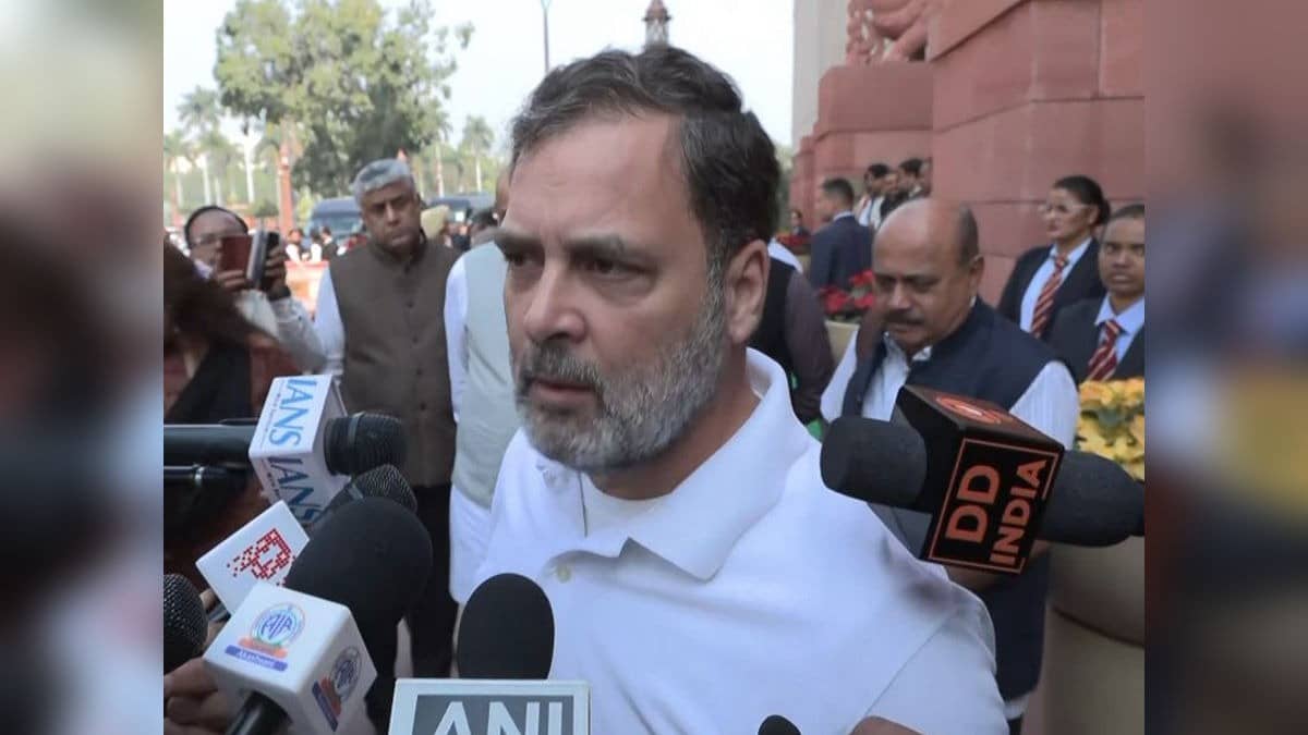 'Either General Naravane Or Publisher Is Lying': Rahul Gandhi Claims 'Four Stars of Destiny Was Available Online'