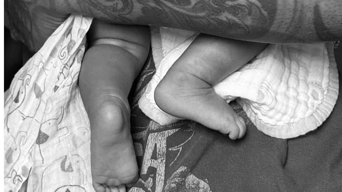 Description of the pic