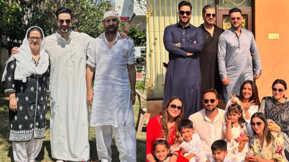 Description of the pic