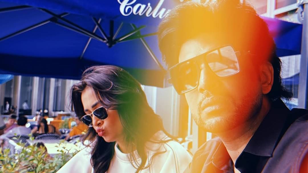 Description of the pic