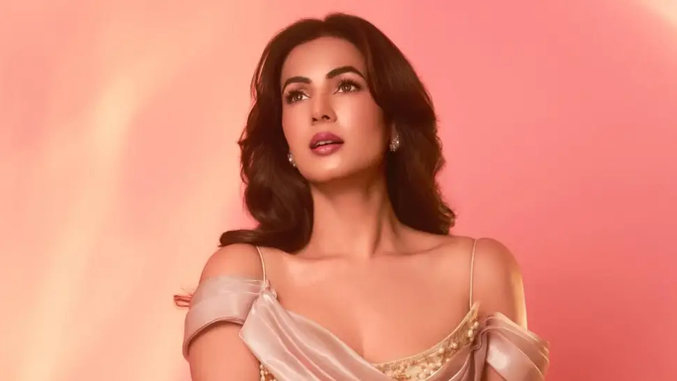 Description of the pic