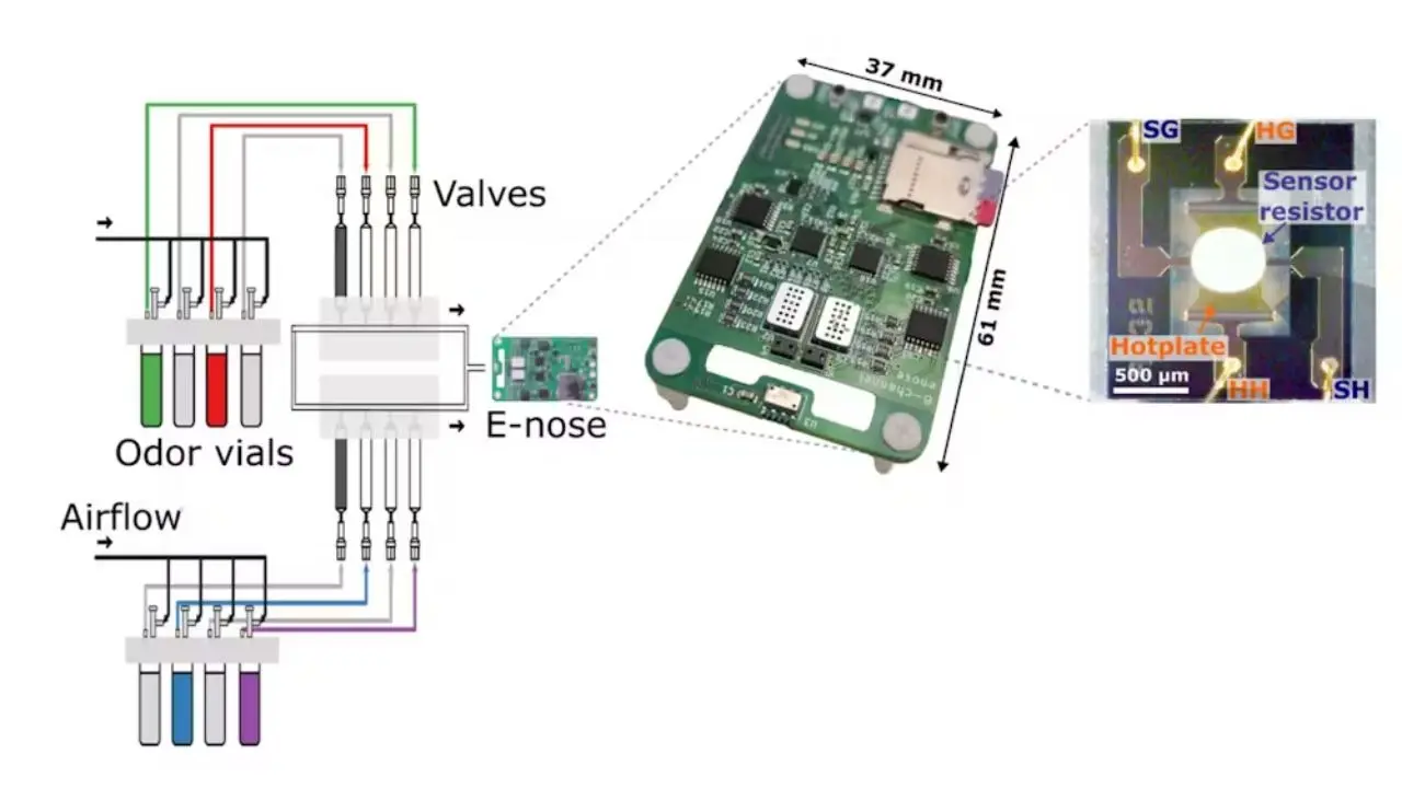 Now an electronic nose that can beat a mouse at its own game electronic nose