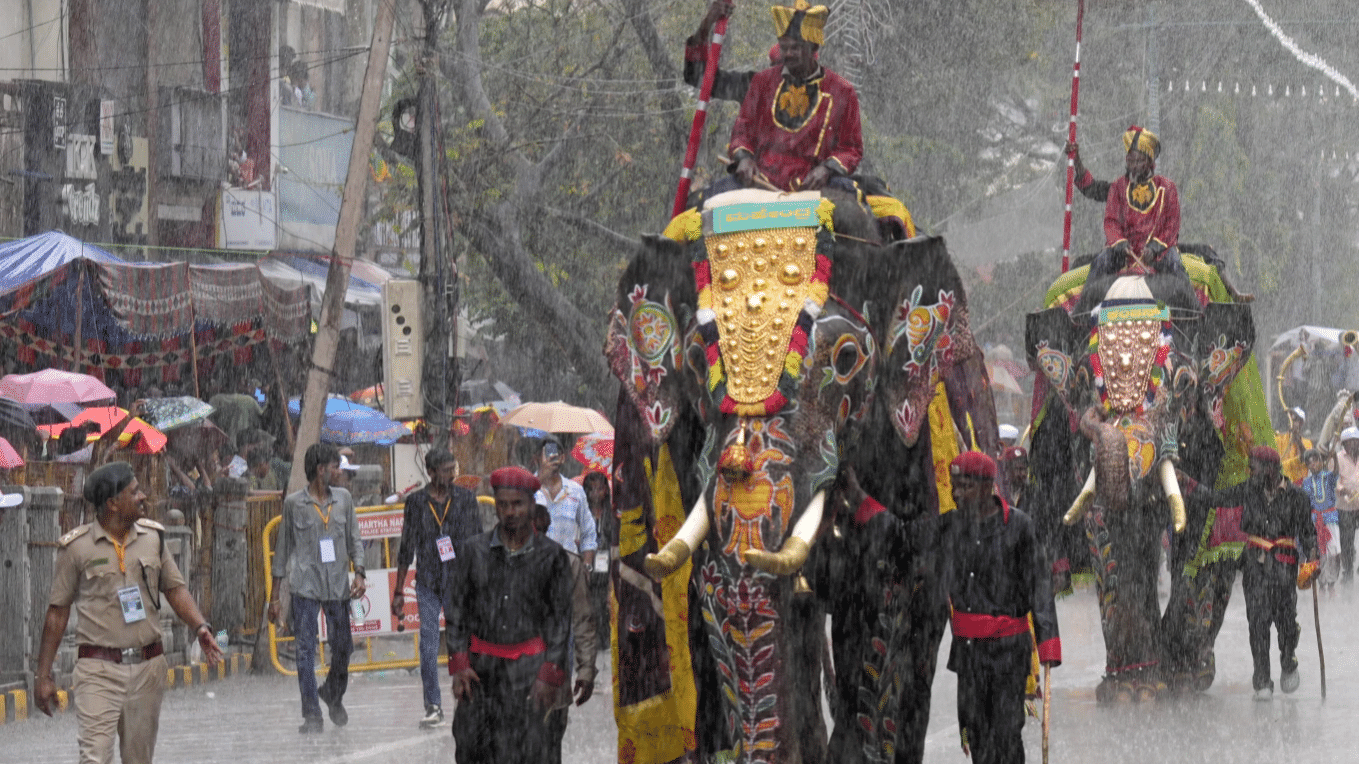 An Elephant Procession for Dussehra Grabs Eyeballs in the Former Mysore