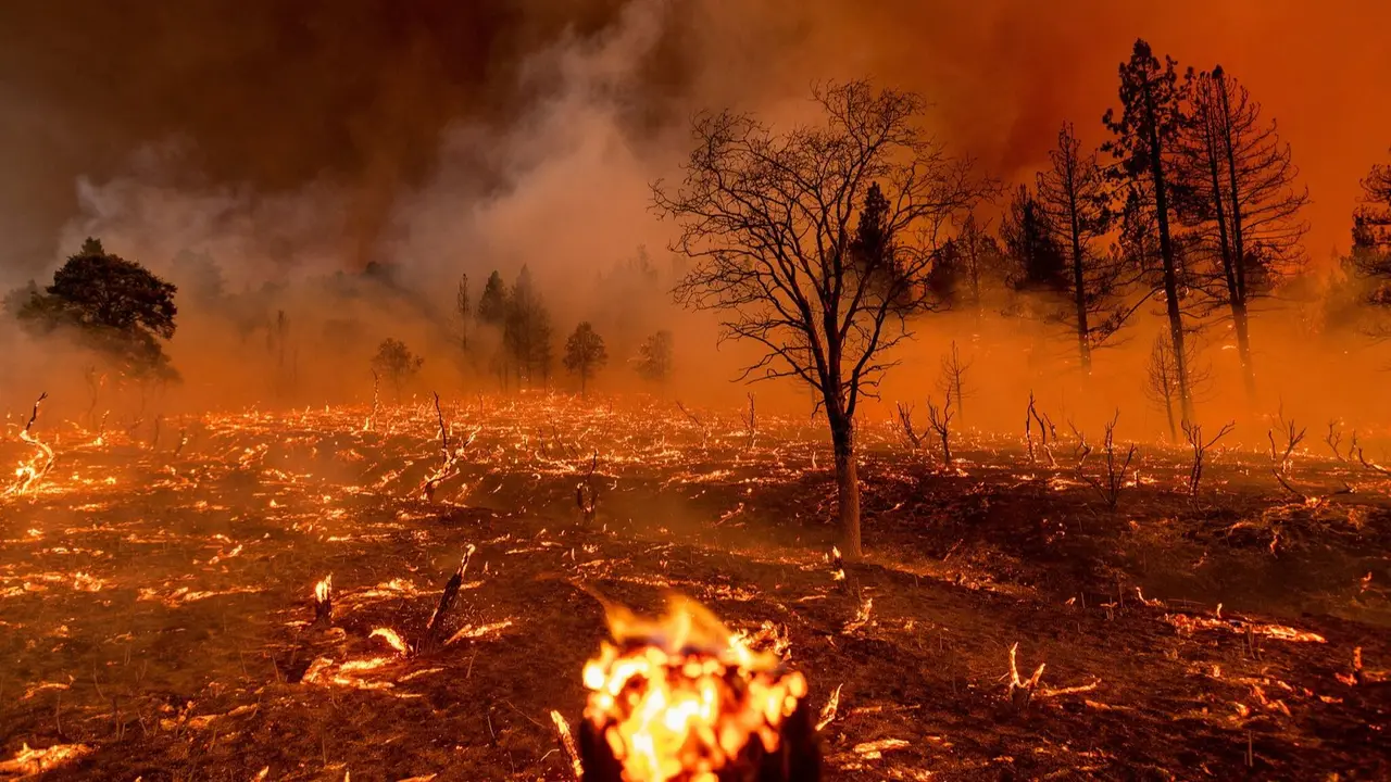 Elon Musk, Others Share Videos as Wildfires Rain Embers in Los Angeles Elon Musk, Others Share Videos as Wildfires Rain Embers in Los Angeles