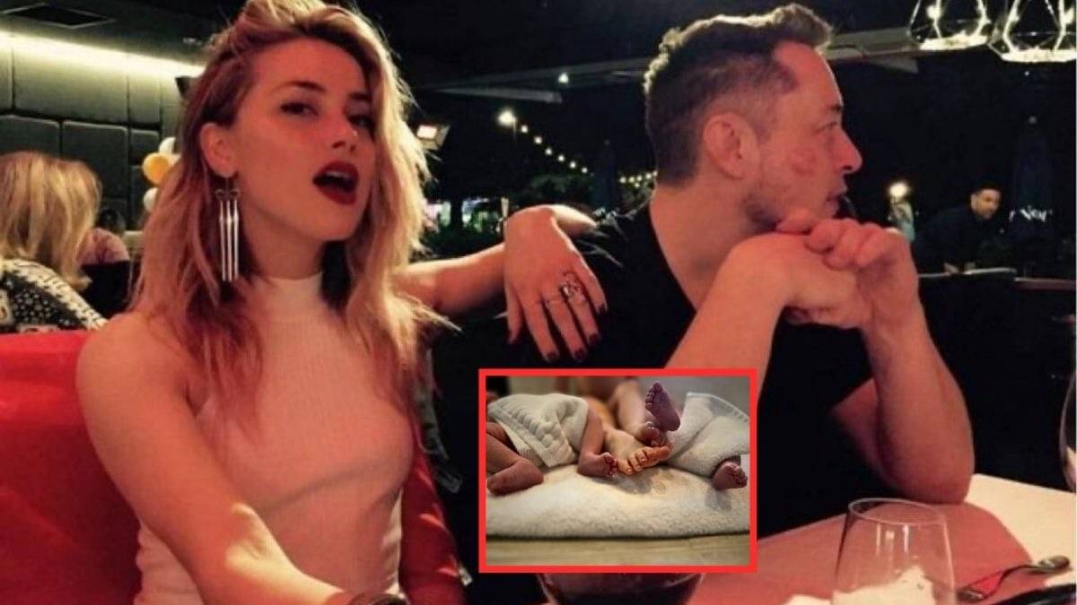 Is Elon Musk The Father Of Amber Heard's Twins, Agnes And Ocean? Ex