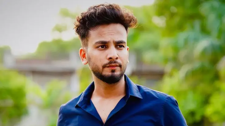 Description of the pic