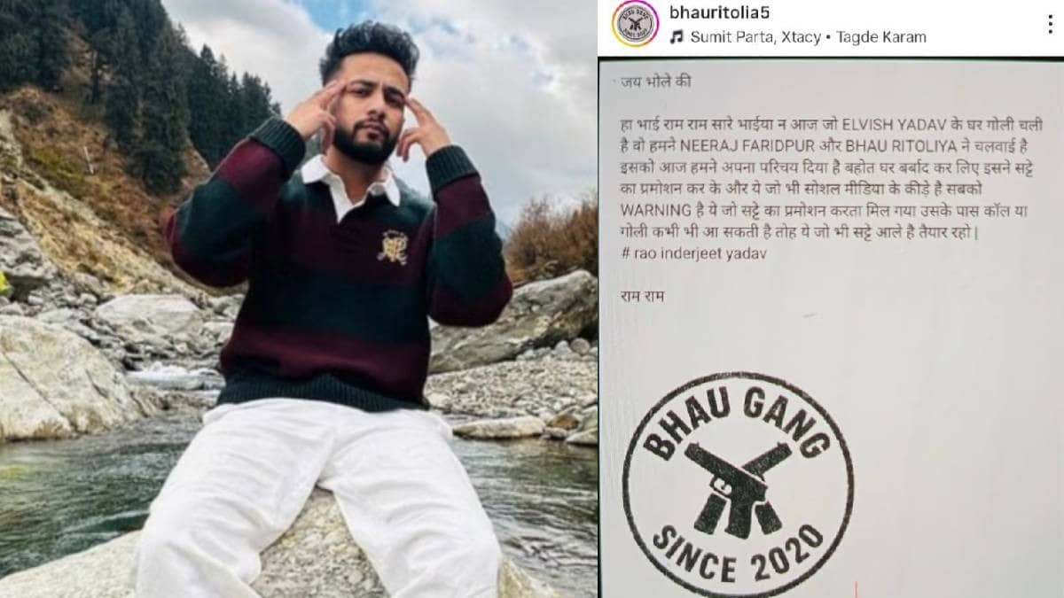 Description of the pic