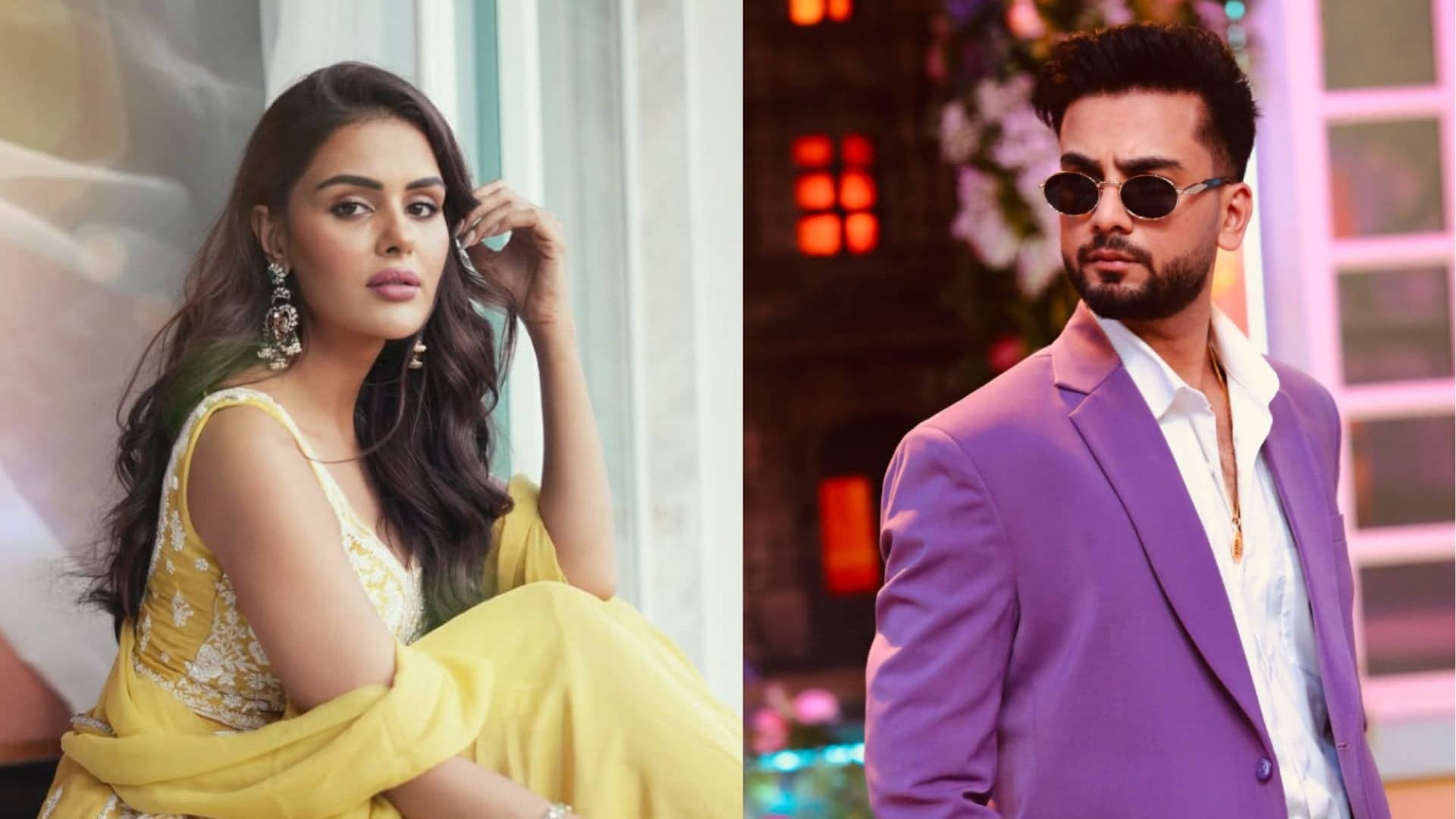 Description of the pic