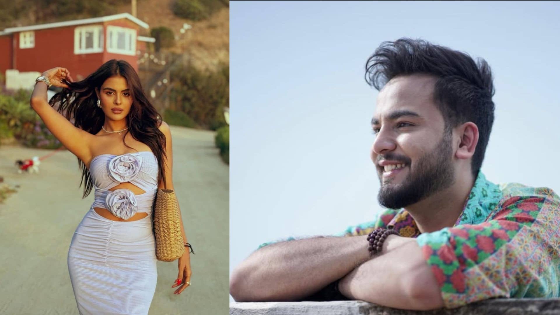 Description of the pic