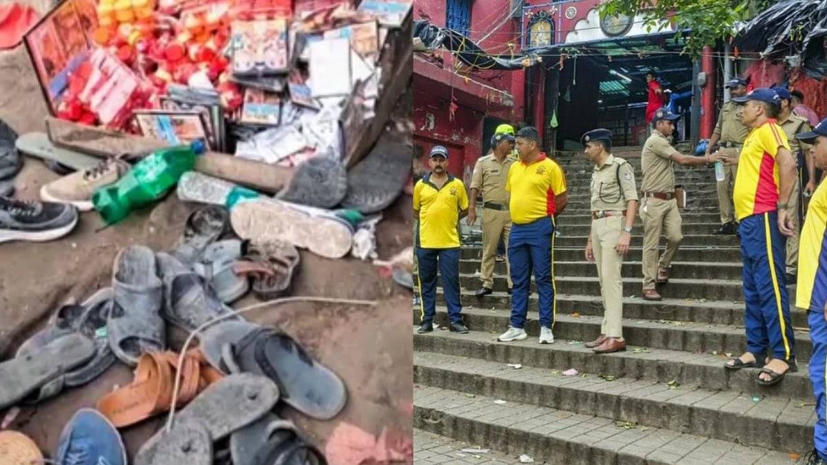 Description of the pic