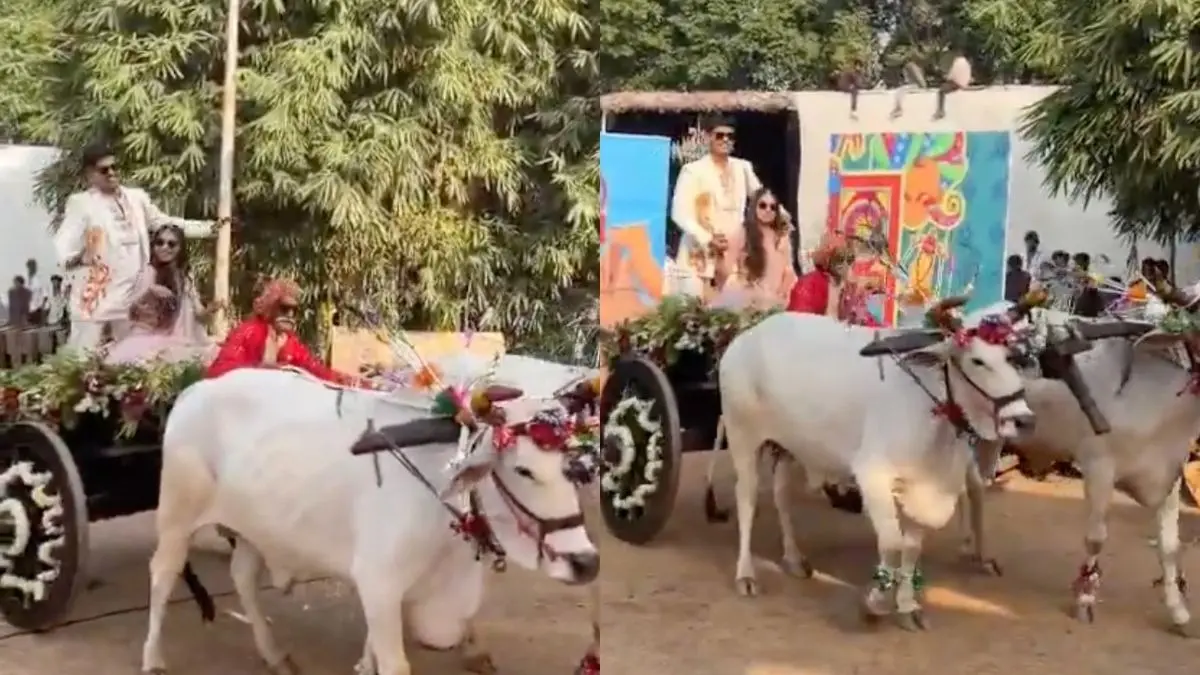 Engagement With Desi Twist: CM Mohan Yadav’s Son, Future Daughter-In-Law Makes Entry On Bullock Cart
