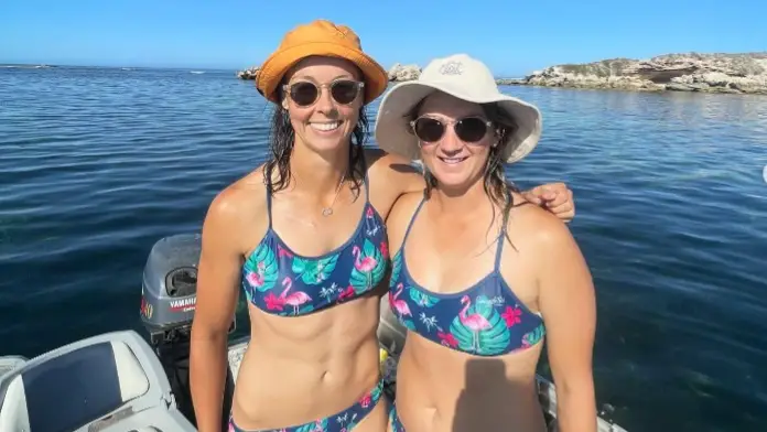 Description of the pic