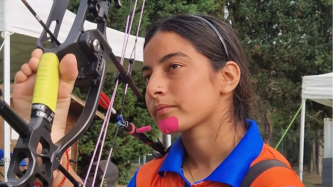 Description of the pic