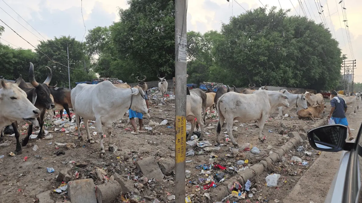 Ex-Jet CEO Slams Gurugram’s Garbage Crisis