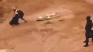 Video: Gujarat Teen Dies, Pilot Injured as Paragliding Flight Goes Wrong in Himachal Pradesh Video: Gujarat Teen Dies, Pilot Injured as Paragliding Flight Goes Wrong in Himachal Pradesh