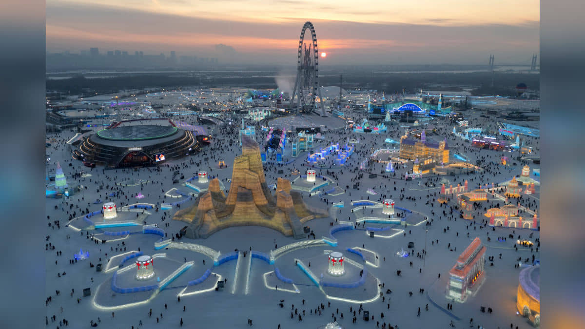 Description of the pic