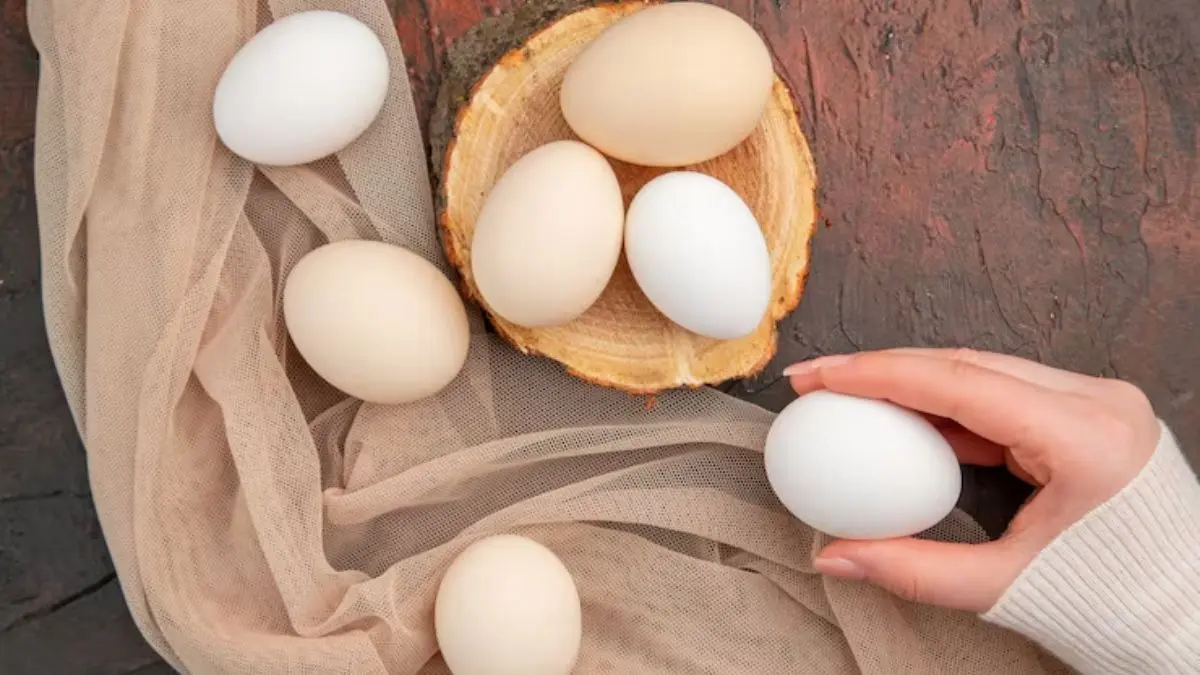 Fake Egg vs Real Egg