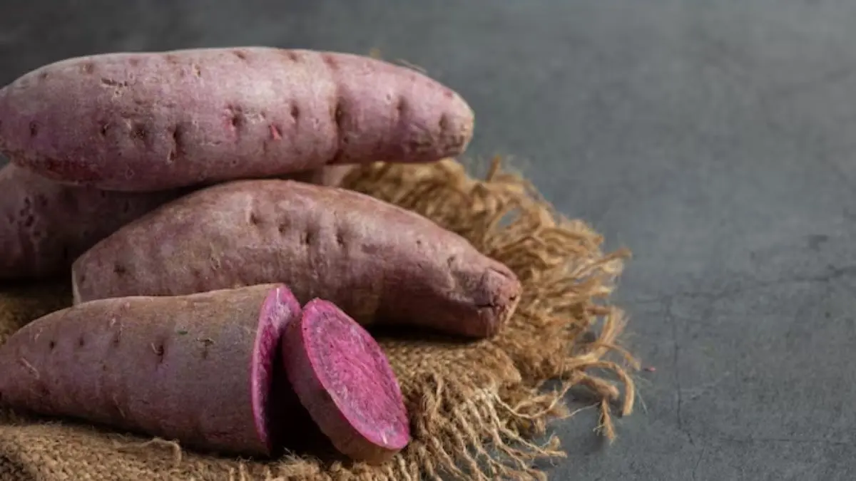 Fake Sweet Potato: सावधान! बाजार में बिक रहा नकली शकरकंद, घर पर ऐसे करें असली की पहचान Fake Sweet Potato