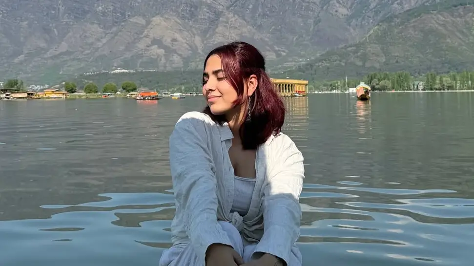 Description of the pic