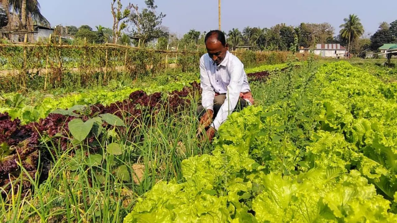 farmers agriculture loan