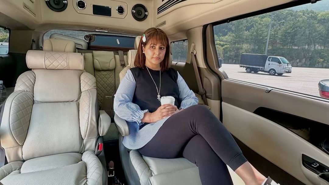 Description of the pic