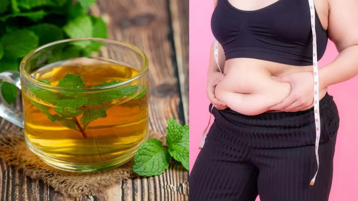 fat and weight loss drink morina tea benefits for healthy and fit body