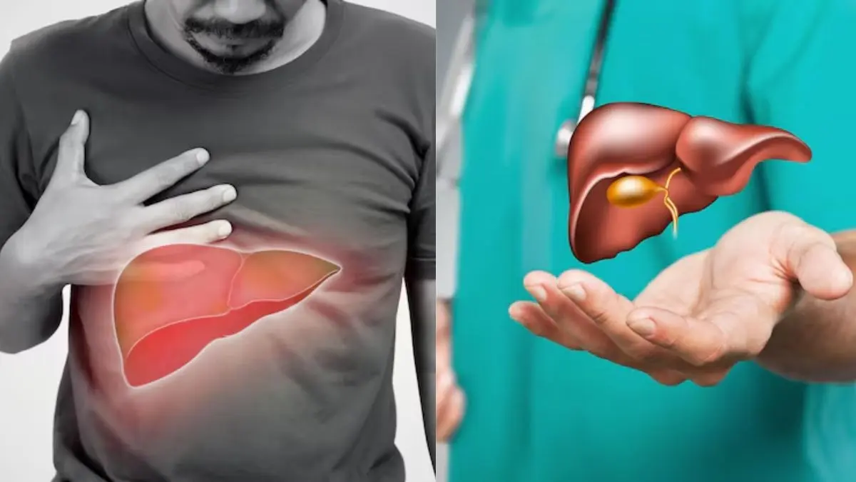 Fatty Liver Warning Signs: क्या आपको भी महसूस होती है थकान? लीवर में हो सकती है गड़बड़ी, न करें इग्नोर Fatty Liver Warning Signs