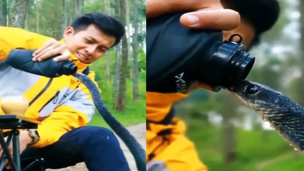 Fed water to snake from a bottle