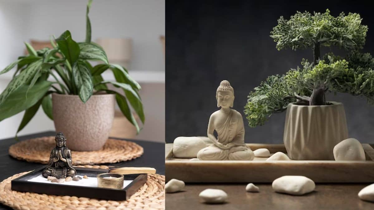 Feng Shui tips