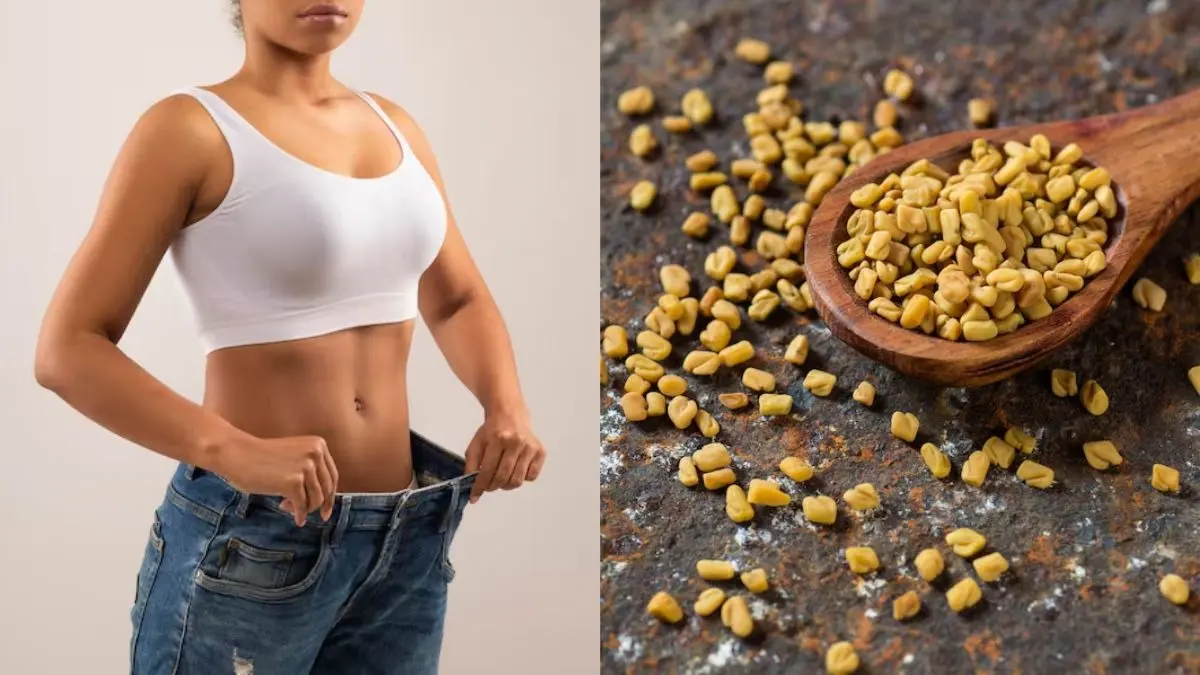Weight Loss: कमर पतली और वजन घटाने का नेचुरल तरीका, जानिए मेथी दाने के फायदे fenugreek seeds benefits