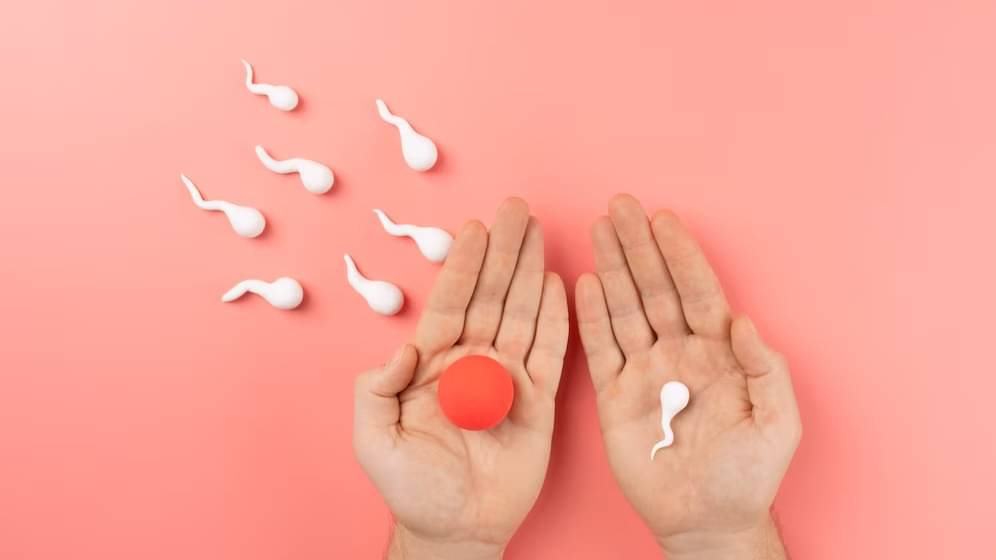 Description of the pic