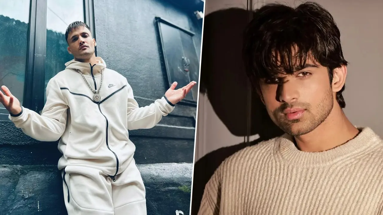 Asim Riaz Clarifies His Viral 'Aa Gaya Apni Auqat Pe' Comment On KKK 14 Rival Abhishek Kumar's Post File photo of Asim Riaz and Abhishek Kumar