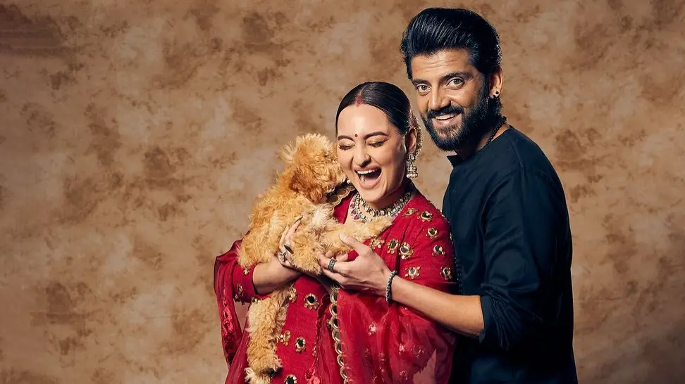 Description of the pic