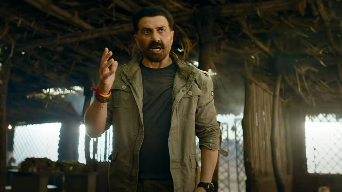 Description of the pic