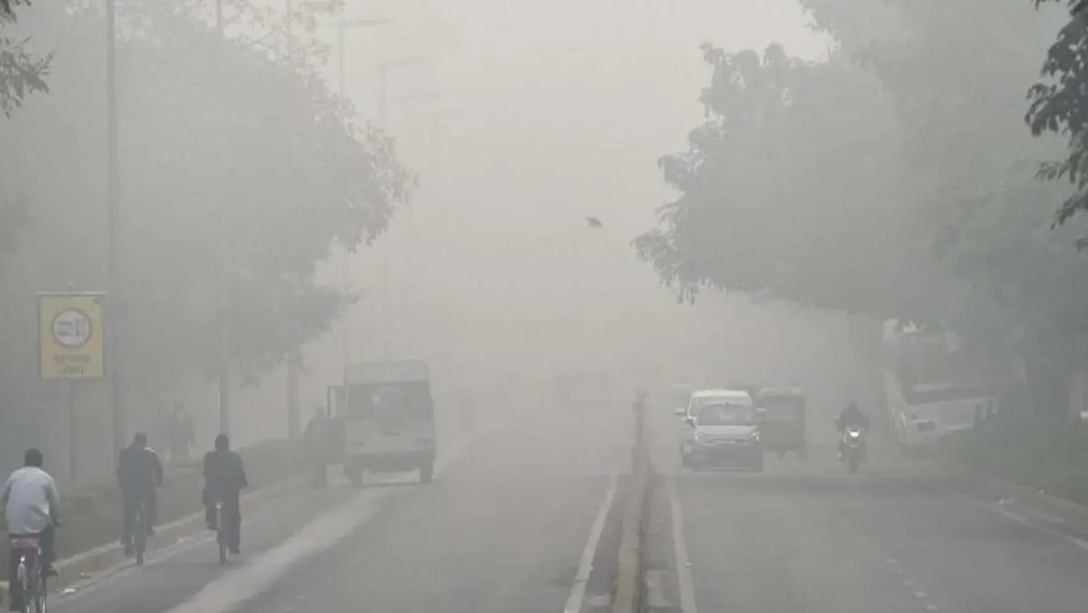 No Respite From Dense Fog In North India Till Jan 23, Cold Wave Conditions To Persist: IMD Dense fog blankets Delhi-NCR; flights and trains affected