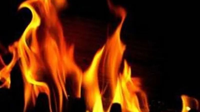 Fire Destroys Carpet Warehouse In Maharashtra's Palghar District, No 