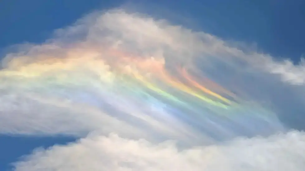 'Nature is Fascinating' Woman Captures the Clearest Clip of a Fire Rainbow | WATCH Fire rainbow