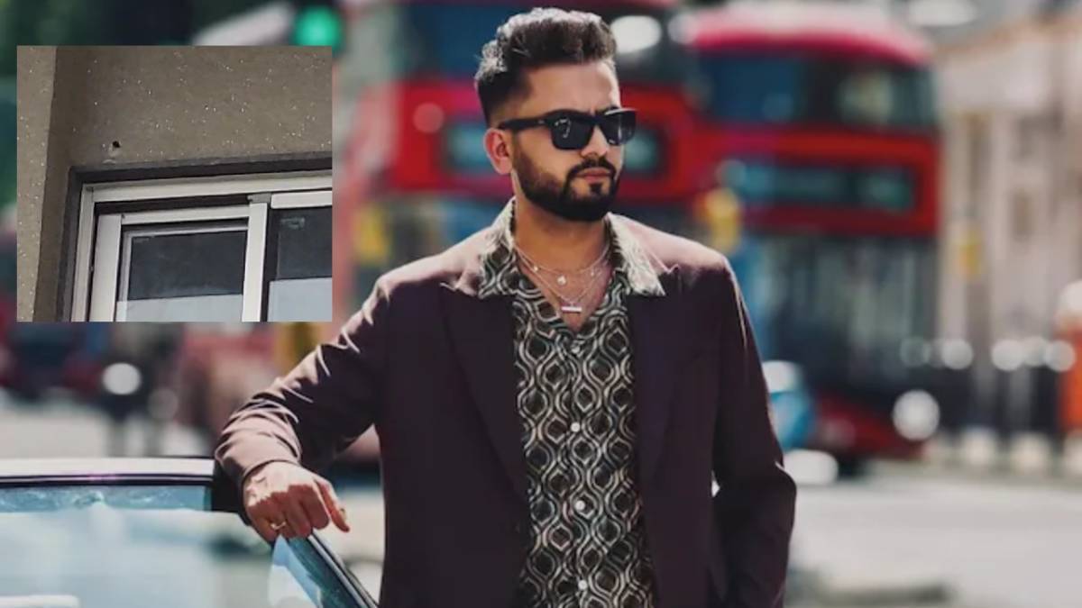 Description of the pic