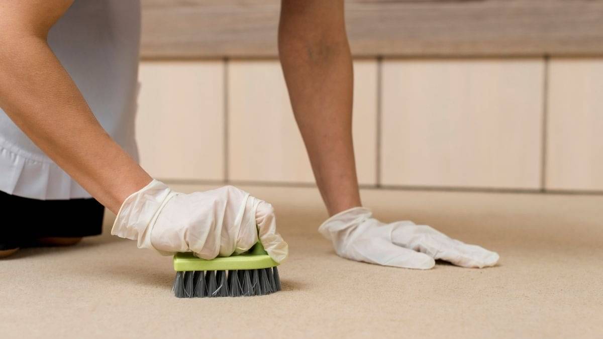 Description of the pic