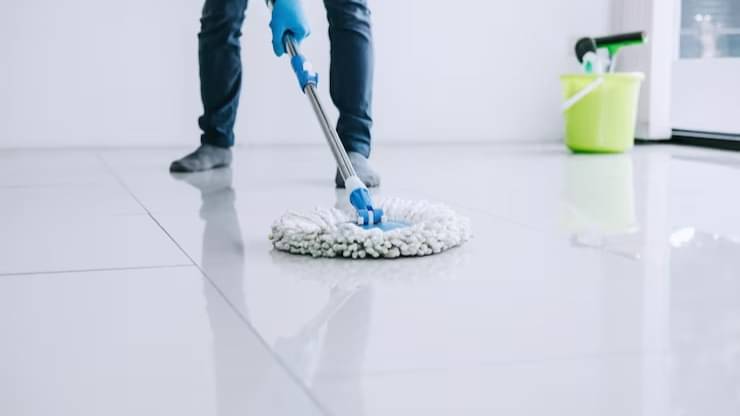 Description of the pic