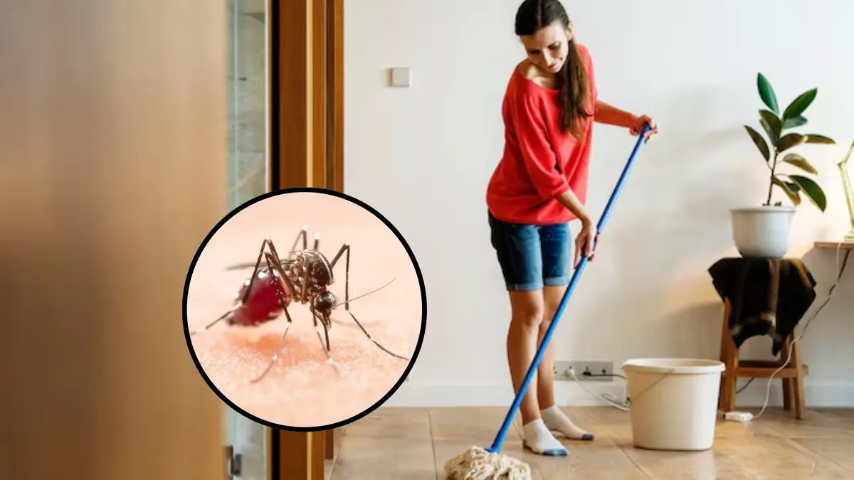 Floor Cleaning: घर में मच्छरों से हैं परेशान? पोछा लगाने वाली बाल्टी में मिला दें ये 2 चीजें, दूर-दूर तक नहीं फटकेंगे Floor Cleaning