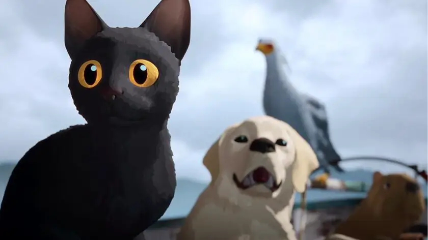 Description of the pic