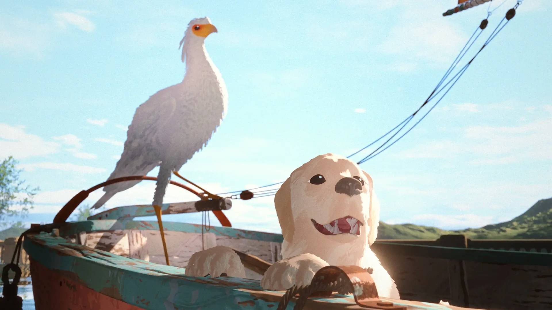 Description of the pic