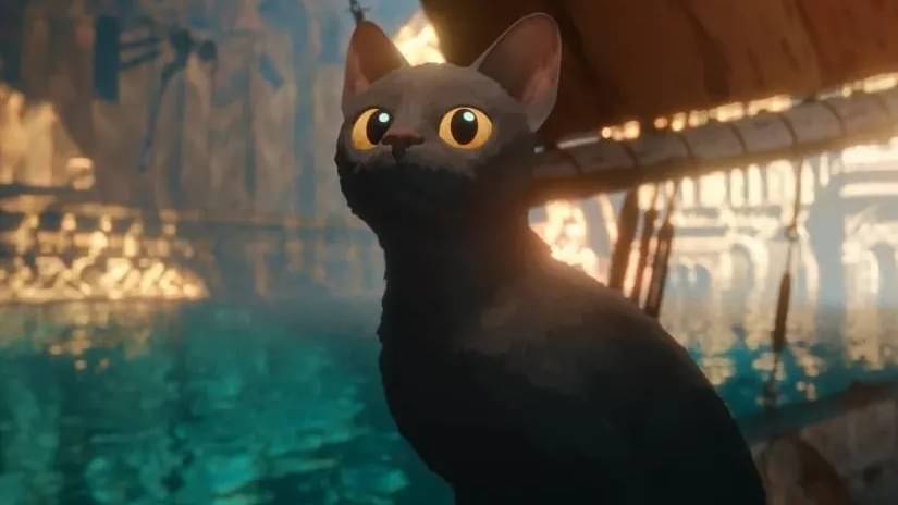 Description of the pic