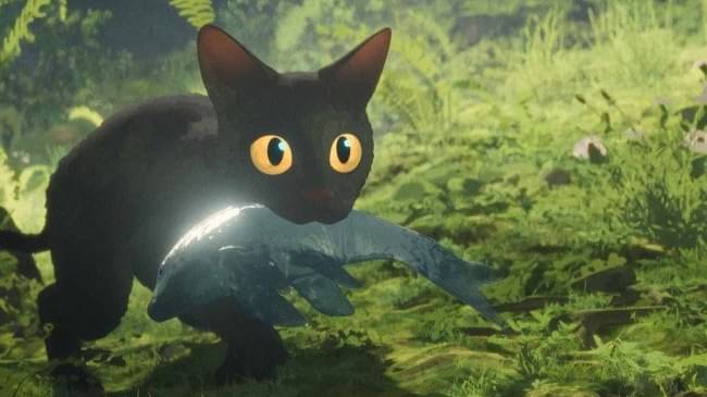 Description of the pic