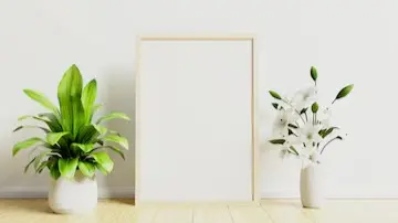 How to Create a Minimalist Home on a Budget: 10 Simple Tips For a Clutter-Free Space Flower pot at home decor