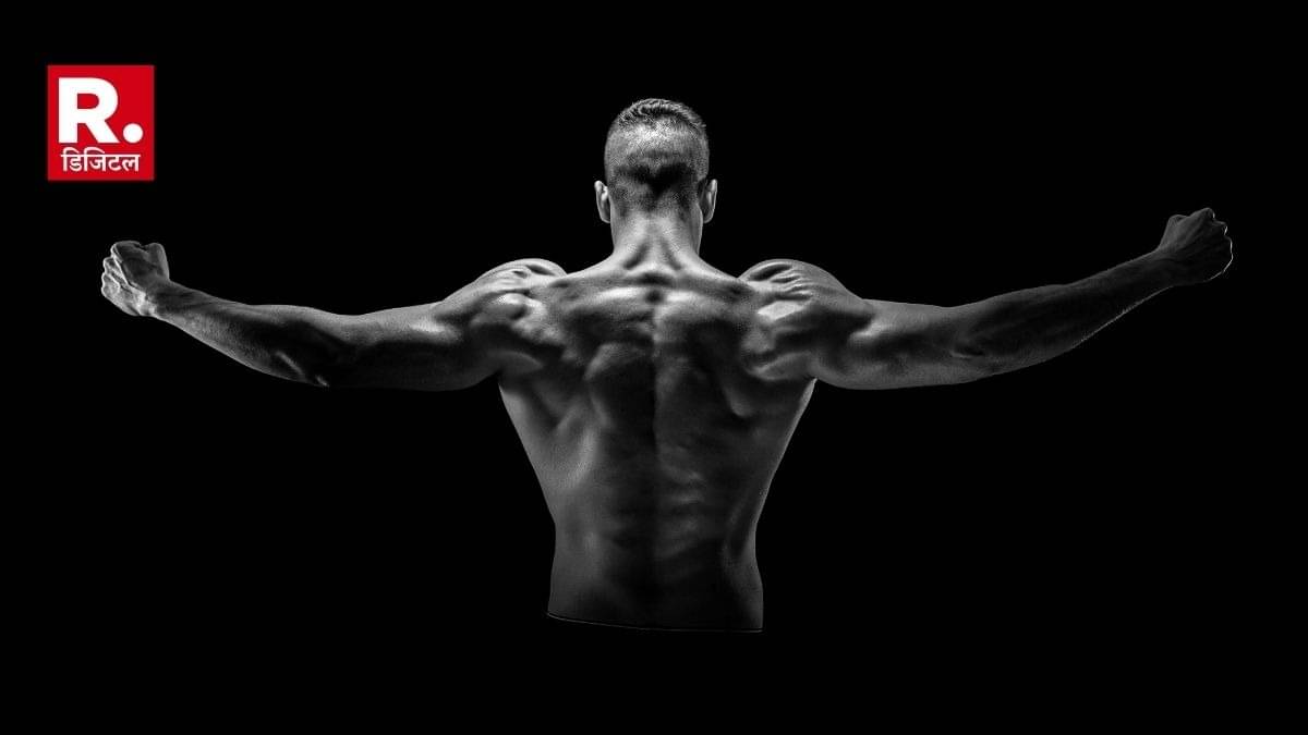 Description of the pic