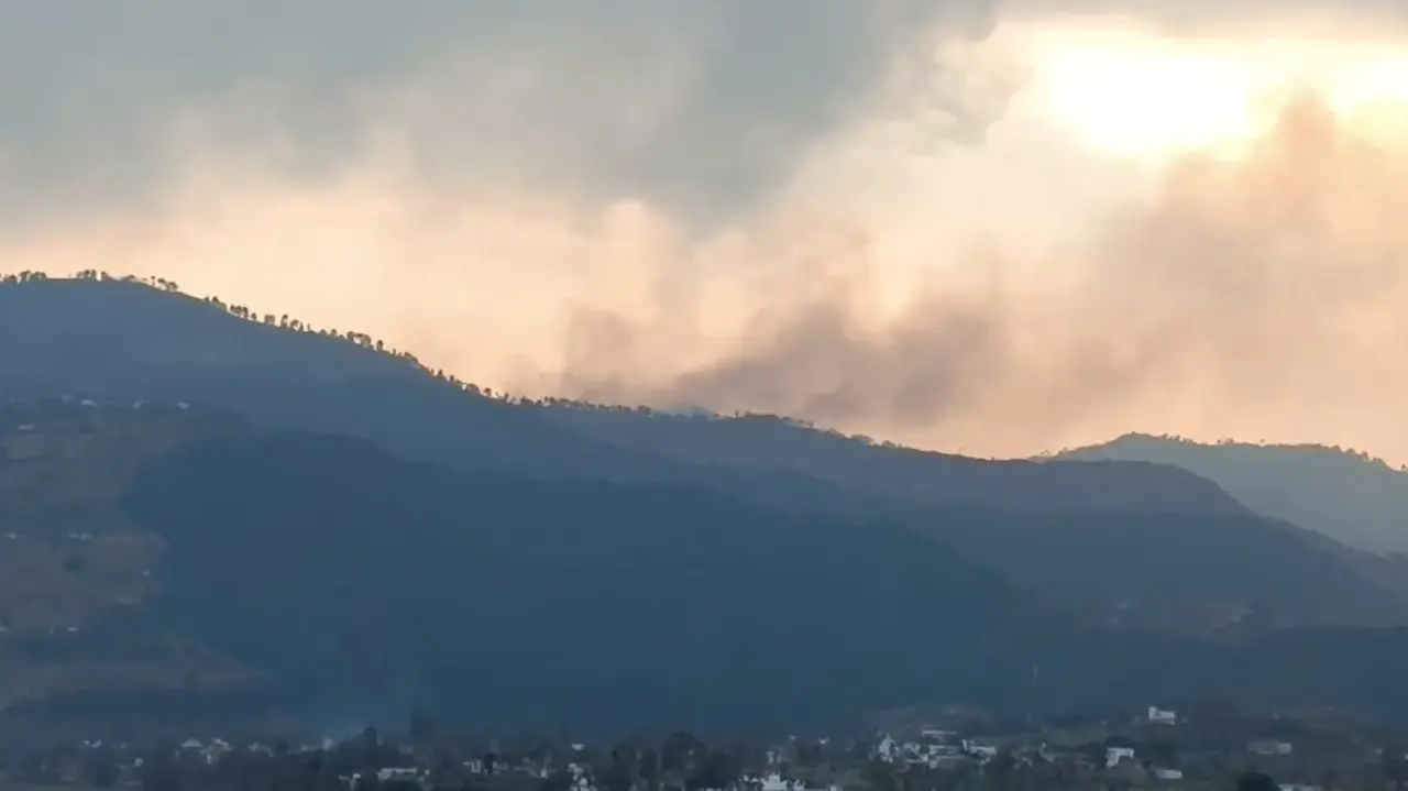 Forest Fire Triggers Mine Blast Along LoC in Poonch