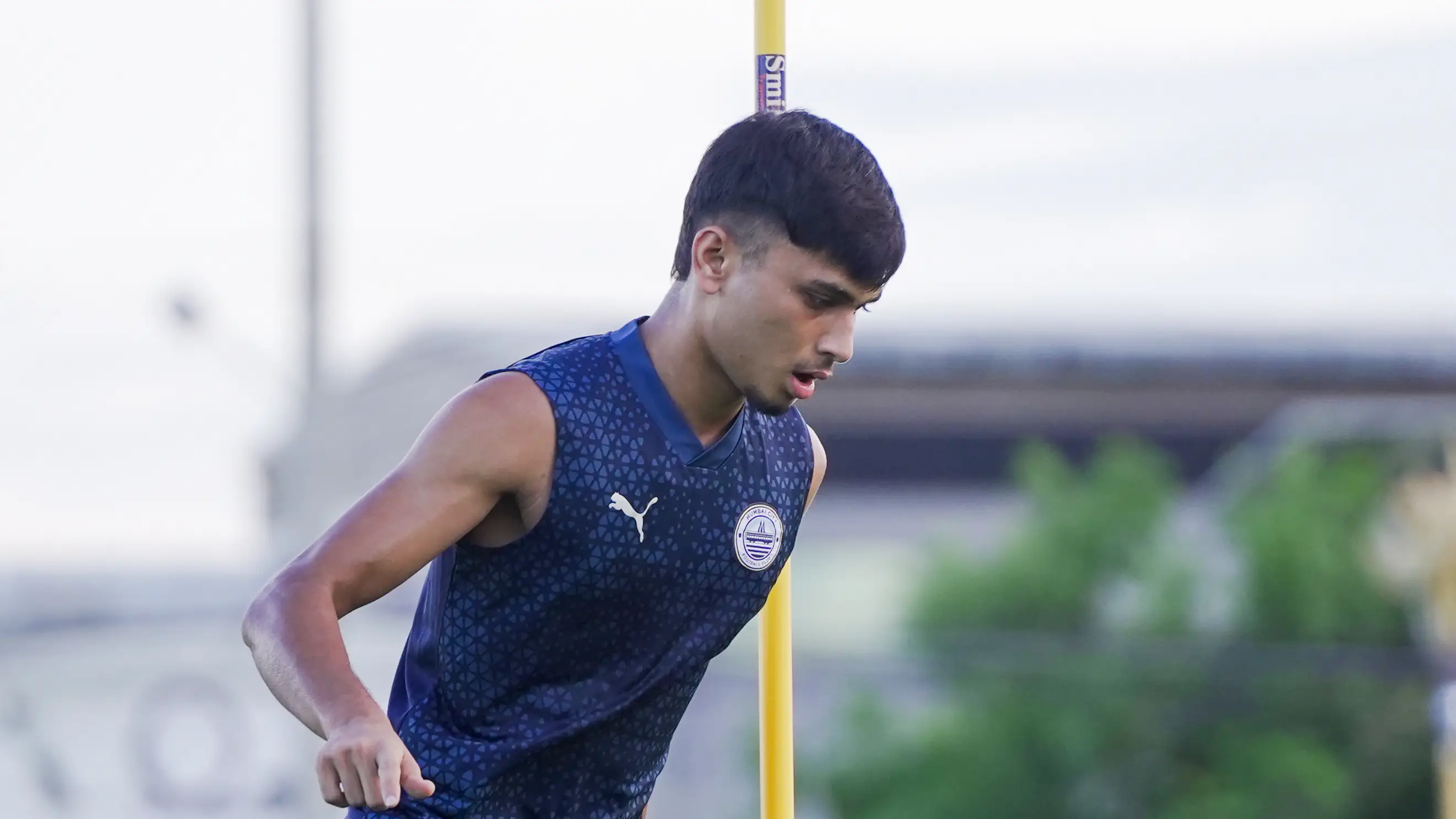 Description of the pic